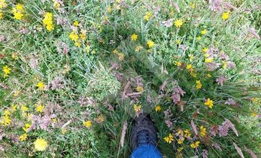 Parcela en Venta en San Carlos el Mañio a 100 mts del rio llico