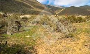 Parcela en Venta en El Arrayan