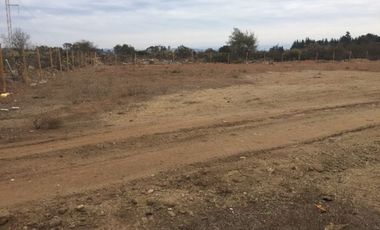 Parcela en Arriendo en Camino Internacional