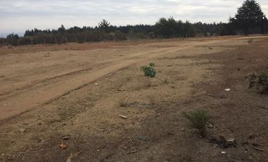 Parcela en Arriendo en Camino Internacional