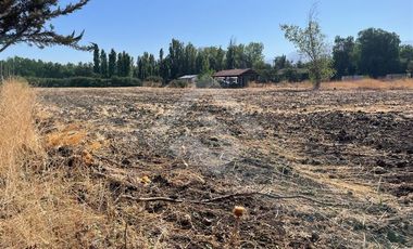 Sitio en Arriendo en casas del alba