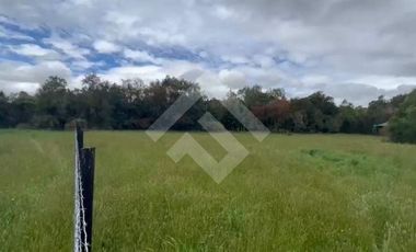 Parcela en Venta en camino v60 Los Muermos