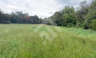 Parcela en Venta en camino v60 Los Muermos