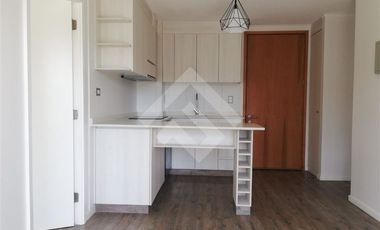 Departamento en Arriendo en Edificio alto Pelluco II