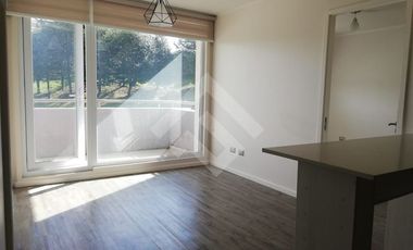 Departamento en Arriendo en Edificio alto Pelluco II