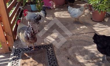 Parcela en Venta en Ruta F-760