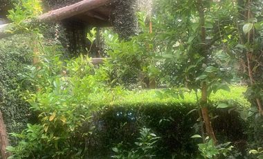 Cabaña en Venta / Huachiango, Puebla