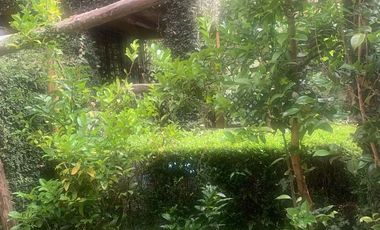 Cabaña en Venta / Huachiango, Puebla