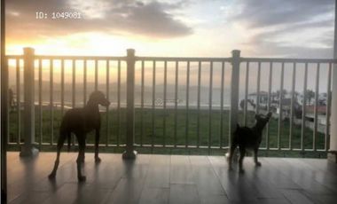 VENTA DE APARTAMENTO DE PLAYA EN PUNTA CHAME CERCA DE PLAYA CARACOL