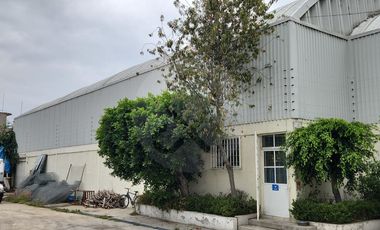 Bodega comercial en venta en Revolución