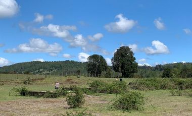 Sitio en Venta en Camino Relin