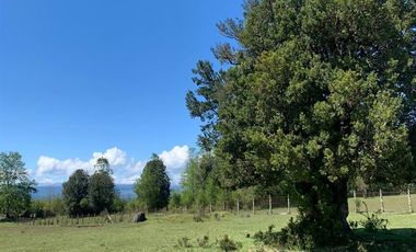 Sitio en Venta en Camino Relin