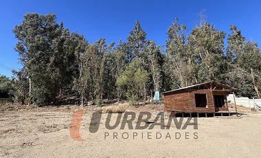 PARCELA SECTOR SAN ISIDRO, VICUÑA