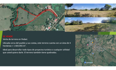 FINCA / PEDASI / 4 HECTAREAS / DESARROLLO TURISTICO