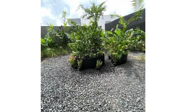 SE VENDE TOWN HOMES en Panamá Pacífico/MC2