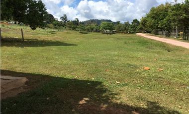 COCLE / PENONOME / FINCA GANADERA 146 HECTAREAS / RIOS / QUEBRADAS