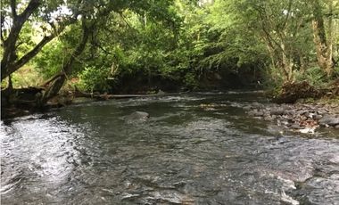 COCLE / PENONOME / FINCA GANADERA 146 HECTAREAS / RIOS / QUEBRADAS
