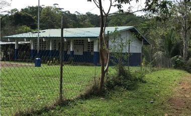 COCLE / PENONOME / FINCA GANADERA 146 HECTAREAS / RIOS / QUEBRADAS