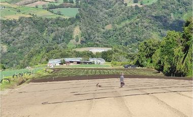 VENDO FINCA DE 27 HECTARES CON RESERVORIO