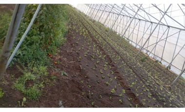 VENDO FINCA DE 27 HECTARES CON RESERVORIO