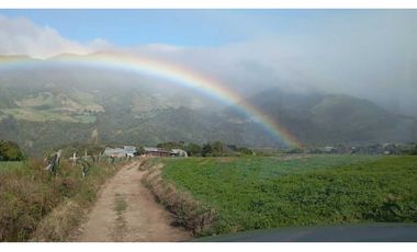 VENDO FINCA DE 27 HECTARES CON RESERVORIO