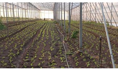 VENDO FINCA DE 27 HECTARES CON RESERVORIO