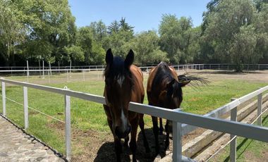 Rancho en Venta en Santiago Tlautla, Hidalgo