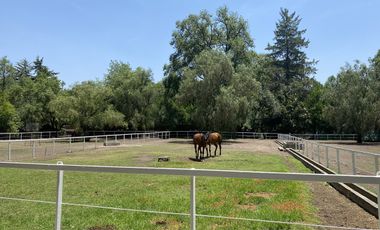 Rancho en Venta en Santiago Tlautla, Hidalgo