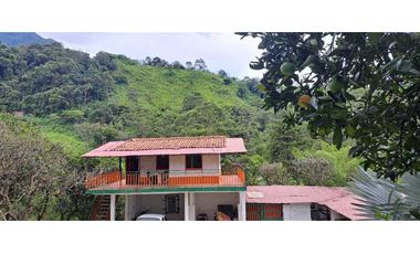 Casa finca en Venecia 8000 m² con turco y vista panorámica