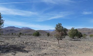 Agrícola en Venta en Venta terreno 900 Hectáreas La Higuera Sin Comisión