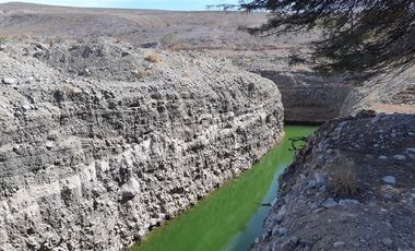 Agrícola en Venta en Venta terreno 900 Hectáreas La Higuera Sin Comisión