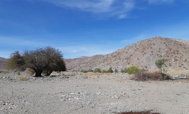 Agrícola en Venta en Venta terreno 900 Hectáreas La Higuera Sin Comisión