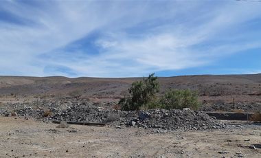 Agrícola en Venta en Venta terreno 900 Hectáreas La Higuera Sin Comisión