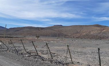 Agrícola en Venta en Venta terreno 900 Hectáreas La Higuera Sin Comisión