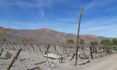 Agrícola en Venta en Venta terreno 900 Hectáreas La Higuera Sin Comisión