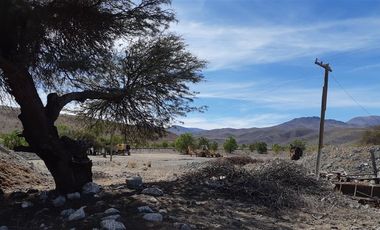 Agrícola en Venta en Venta terreno 900 Hectáreas La Higuera Sin Comisión