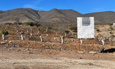Agrícola en Venta en Peralillo Cruce Limahuida