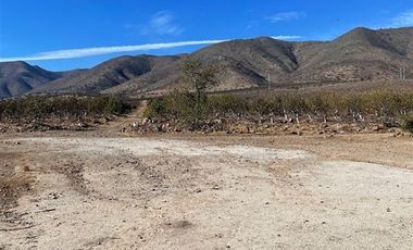 Agrícola en Venta en Peralillo Cruce Limahuida
