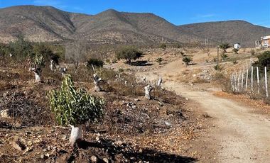 Agrícola en Venta en Peralillo Cruce Limahuida