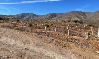 Agrícola en Venta en Peralillo Cruce Limahuida