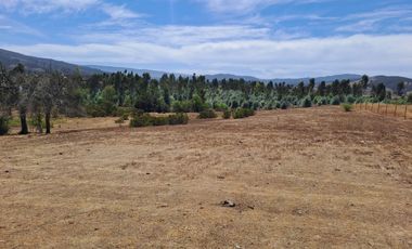 Oportunidad Parcela en Curepto