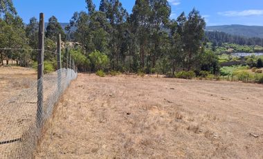 Oportunidad Parcela en Curepto