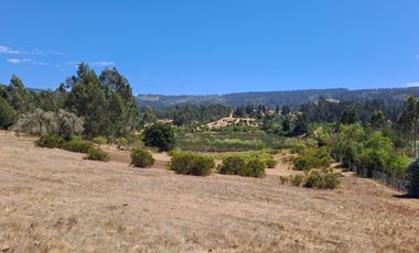 Oportunidad Parcela en Curepto