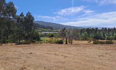 Oportunidad Parcela en Curepto