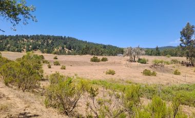 Oportunidad Parcela en Curepto