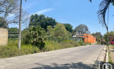 Terreno con Oficina Comercial en Renta en Coatepec; Veracruz.