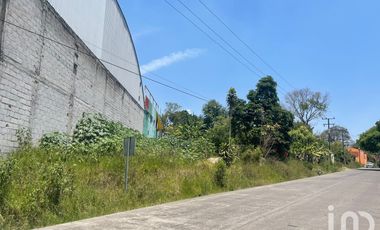 Terreno con Oficina Comercial en Renta en Coatepec; Veracruz.
