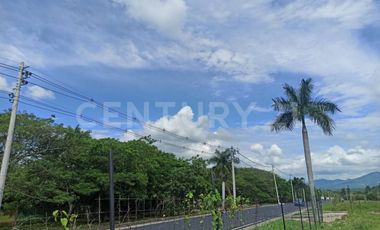 ¡Increíble oportunidad venta de lote en Tocaima!