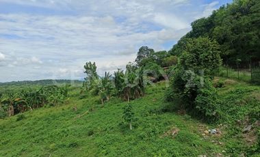 ¡Increíble oportunidad venta de lote en Tocaima!