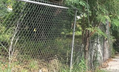 TERRENO EN RENTA NUEVO REPUEBLO